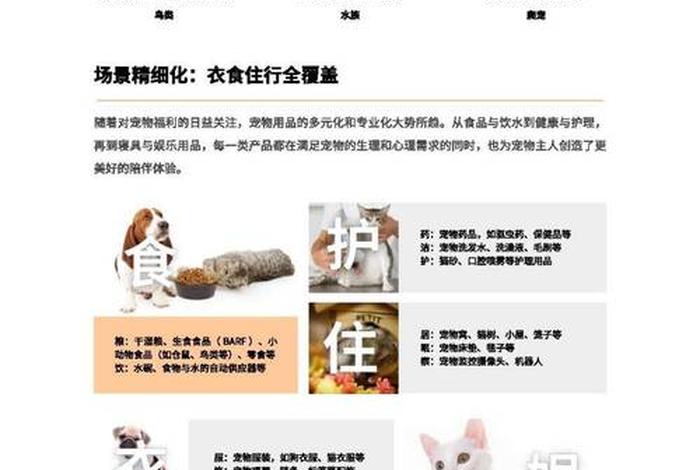 宠物用品电商社交媒体分析;宠物用品市场分析报告 宠物用品电商社交媒体分析;宠物用品市场分析报告