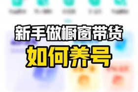 电商带货和商品橱窗一样吗 电商带货和商品橱窗一样吗知乎