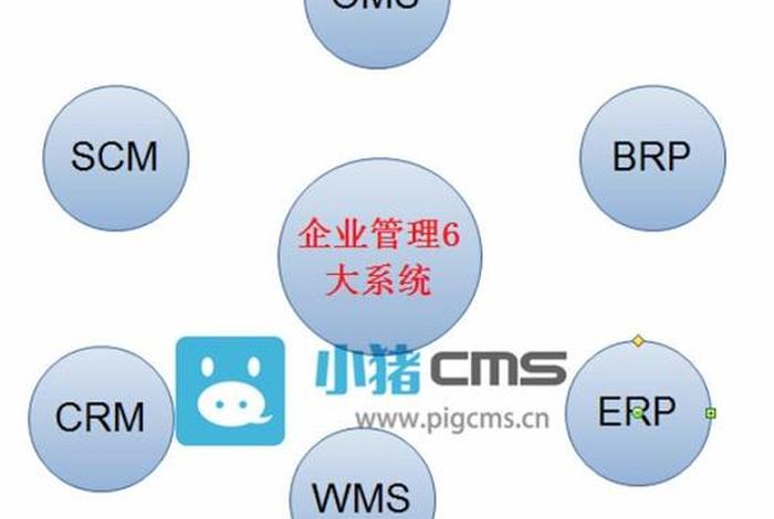 电商sc码是啥 - 电子商务中scm是什么意思 电商sc码是啥 - 电子商务中scm是什么意思