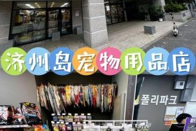 宠物用品电商店铺可以做吗 宠物用品店可以卖宠物吗