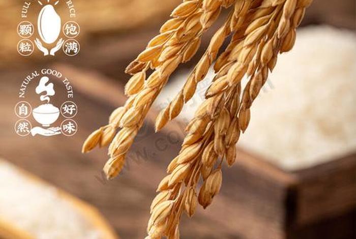 电商米是什么意思；电商说的米是什么意思