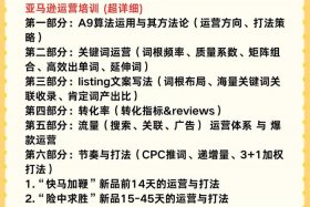 电商亚马逊运营培训（亚马逊电商运营培训机构）