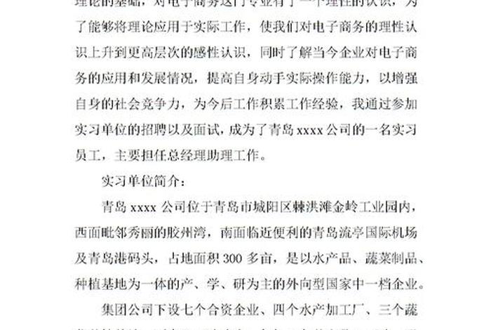 电商实习报告 - 电子商务实习报告