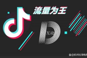 dy抖音电商（抖音电商dp）