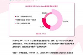 tt123跨境电商平台官网（tiktok跨境电商平台官网）