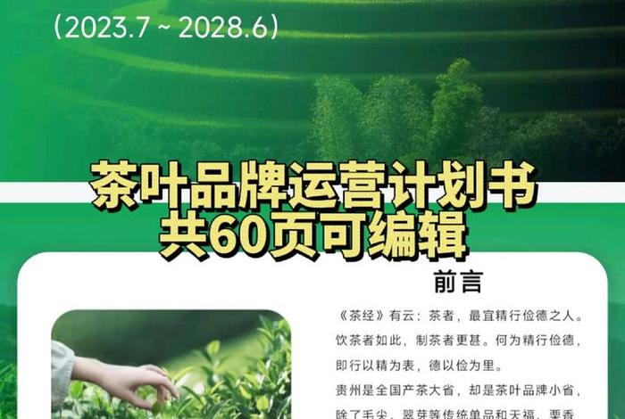茶叶电商营销方案、茶叶电商营销方案设计 茶叶电商营销方案、茶叶电商营销方案设计