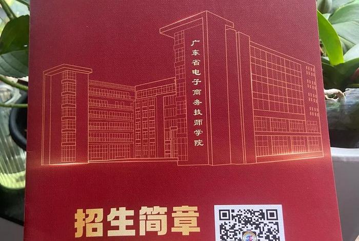 广东电商学院 广东电商职业技术学院 广东电商学院 广东电商职业技术学院