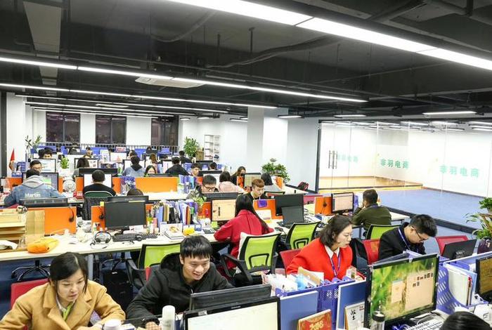 非羽网络有限公司是真的吗（非羽网络科技有限公司是干嘛的）