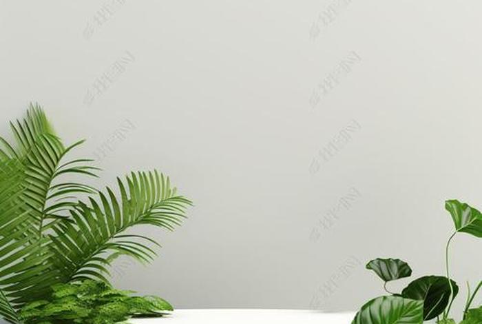 电商背景主图素材、电商背景主图素材高清 电商背景主图素材、电商背景主图素材高清