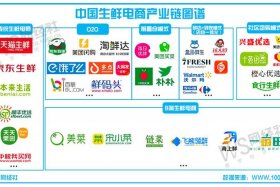 生鲜电商公司 - 生鲜电商行业公司排行榜