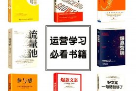 关于电商运营的书籍；关于电商运营的书籍有哪些