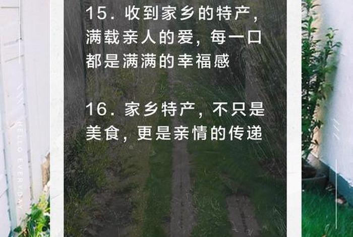 家乡特产电商营销方案(家乡特产电商营销方案范文) 家乡特产电商营销方案(家乡特产电商营销方案范文)
