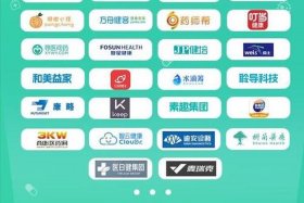 国内电商大公司 - 国内电商大公司有哪些