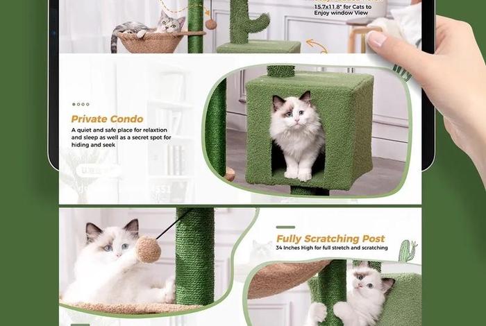 亚马逊 电商作图（亚马逊产品图片制作）