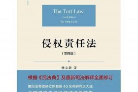 电商侵权责任法（电商侵权责任法律法规）