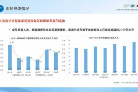 旅游电商发展现状与趋势 - 旅游电商发展现状与趋势研究