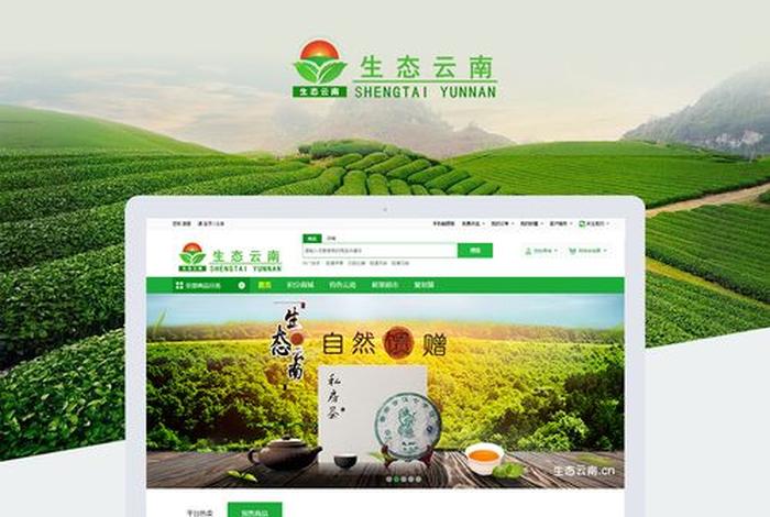 云南电商网站登录(云南电商网站登录官网) 云南电商网站登录(云南电商网站登录官网)