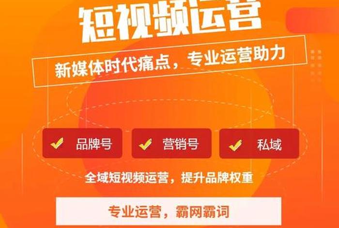 短视频 电商；短视频电商怎么做
