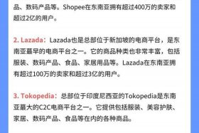 东南亚跨境电商哪个平台好（东南亚跨境电商哪个平台好做）