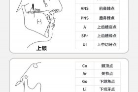 点朝上点朝下（两点朝上两点朝下啥意思）