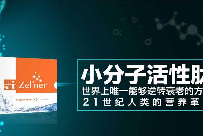 美极客官方登录网站，美极客官方登录网站入口