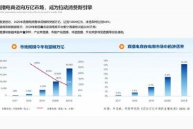 电商运营大平台，电商运营大平台是什么