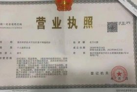 电商个体户营业执照零申报（个体工商户营业执照零申报）