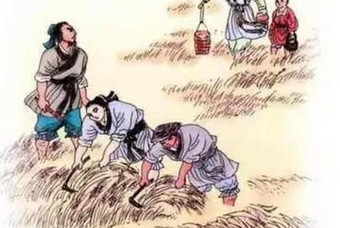 佃农理论;佃农理论作者 佃农理论;佃农理论作者