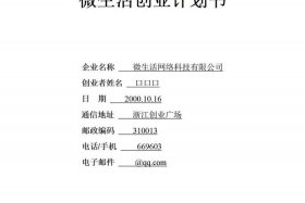 电商导购创业 - 电商导购创业计划书