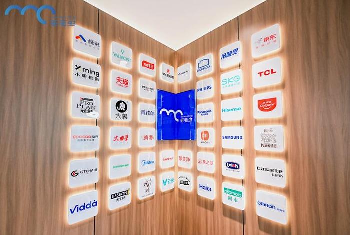 毛毛虫电商代运营（毛毛虫公司招聘运营助理信息）