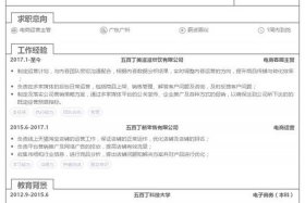 电商总监简历 电商总监年终总结