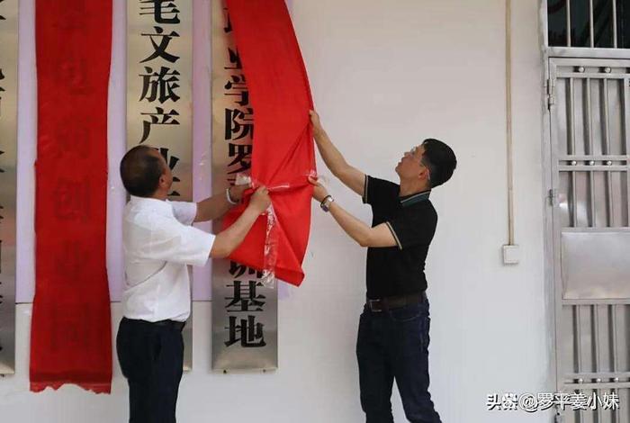 罗平县电商创业园；罗平县电商创业园地址