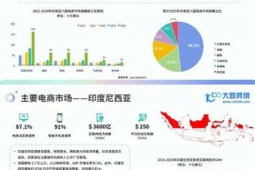 东南亚电商现状，东南亚电商发展现状