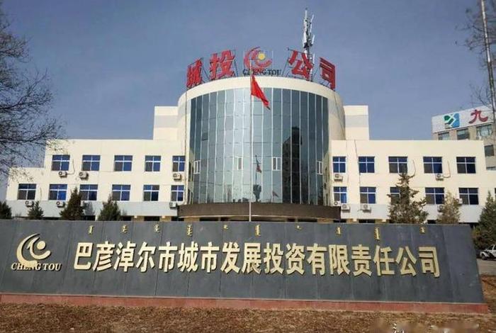 沙电投资(上海)有限公司，沙电投资(上海)有限公司招聘