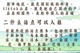 印尼电商平台tokopedia怎么入驻；如何在印尼tokopedia购物