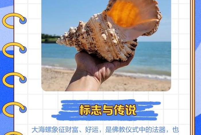 海螺电商平台介绍 - 海螺电商平台介绍怎么写 海螺电商平台介绍 - 海螺电商平台介绍怎么写