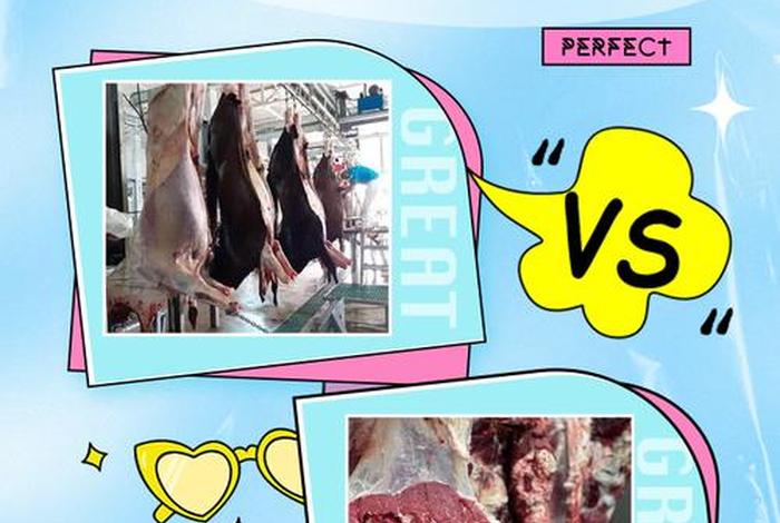 猪肉冒充牛肉违法吗、猪肉冒充牛肉违法吗知乎 猪肉冒充牛肉违法吗、猪肉冒充牛肉违法吗知乎