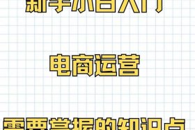 电商小白入门教程 电商小白入门教程视频