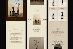 电商产品款式有哪些，电商产品款式有哪些特点