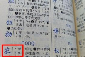 佃农怎么读，佃农怎么读组词