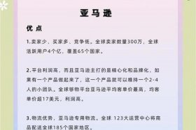 电商平台的供应商的优缺点、电商平台的供应商的优缺点是什么