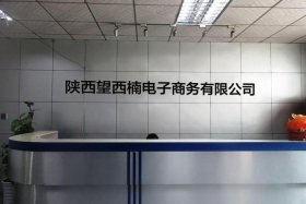 300号电商公司，300人的电商公司算大吗