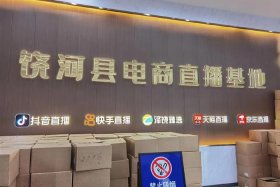 全国十大电商基地；全国十大电商基地有哪些