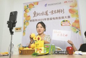 电商大赛主题 电商大赛主题八个字