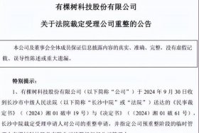 电商巨头倒下（又一电商巨头倒下每月亏2亿）