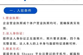 东南亚电商平台哪个可以入驻（东南亚电商平台哪个可以入驻抖音）