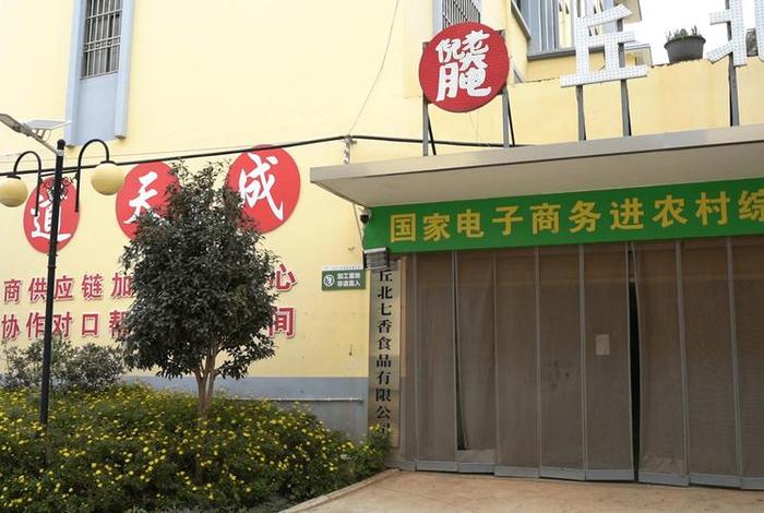 乡村电商平台搭建的必要性,乡村电商平台搭建的必要性有哪些 乡村电商平台搭建的必要性,乡村电商平台搭建的必要性有哪些