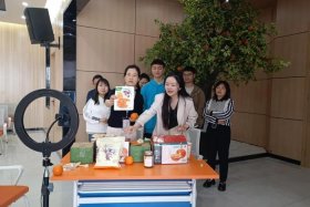 电商在线教育 在线教育电子商务