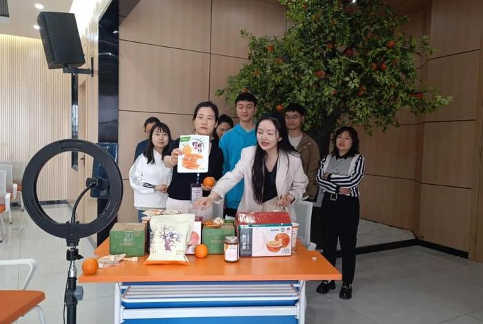 电商在线教育 在线教育电子商务