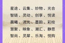 电商公司名字大全20000个、好听的电商公司名字大全2020